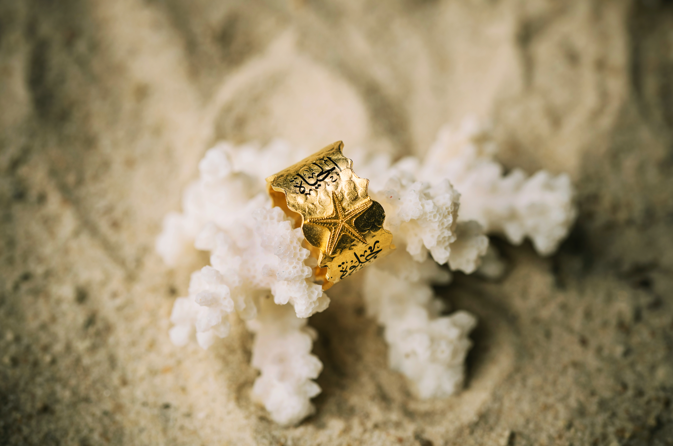 The Oasis Ring